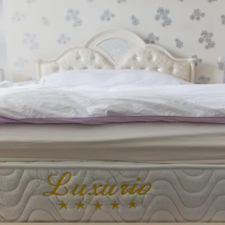 Pensión Andrei 4*